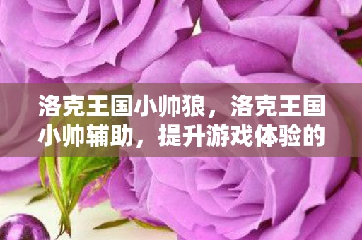 洛克王国小帅狼，洛克王国小帅辅助，提升游戏体验的必备利器