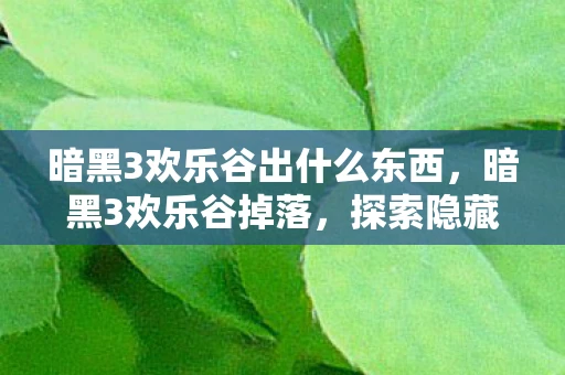 暗黑3欢乐谷出什么东西，暗黑3欢乐谷掉落，探索隐藏宝藏与无尽战利品资讯