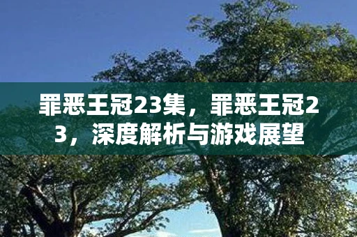 罪恶王冠23集，罪恶王冠23，深度解析与游戏展望
