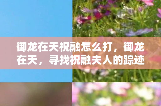 御龙在天祝融怎么打，御龙在天，寻找祝融夫人的踪迹