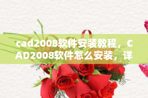 cad2008软件安装教程，CAD2008软件怎么安装，详细步骤指南