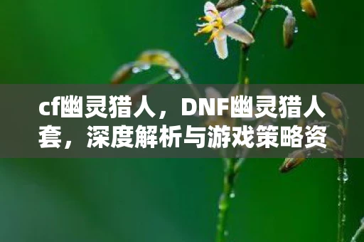 cf幽灵猎人，DNF幽灵猎人套，深度解析与游戏策略资讯频道