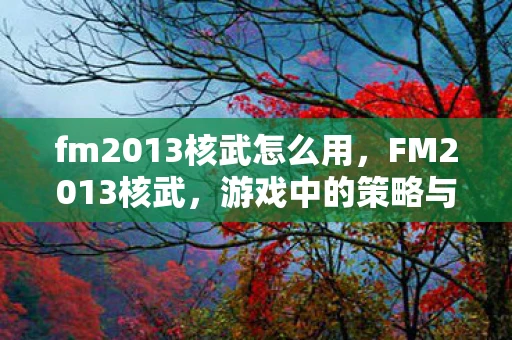 fm2013核武怎么用，FM2013核武，游戏中的策略与技巧