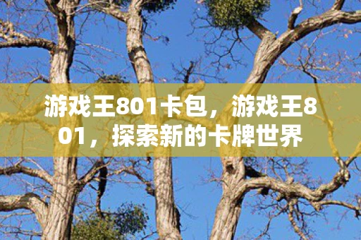 游戏王801卡包，游戏王801，探索新的卡牌世界