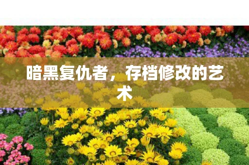 暗黑复仇者，存档修改的艺术