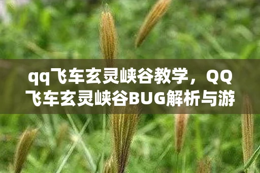qq飞车玄灵峡谷教学，QQ飞车玄灵峡谷BUG解析与游戏体验探讨