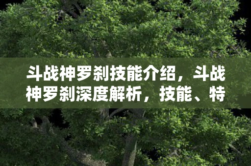斗战神罗刹技能介绍，斗战神罗刹深度解析，技能、特色与游戏体验