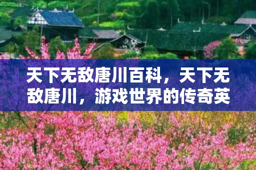 天下无敌唐川百科，天下无敌唐川，游戏世界的传奇英雄
