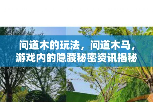 问道木的玩法，问道木马，游戏内的隐藏秘密资讯揭秘手游