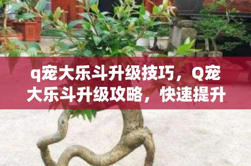 q宠大乐斗升级技巧，Q宠大乐斗升级攻略，快速提升