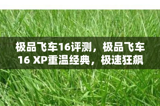 极品飞车16评测，极品飞车16 XP重温经典，极速狂飙的赛车盛宴