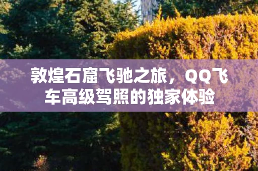 QQ飞车高级驾照的独家体验图片