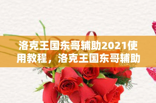 洛克王国东哥辅助2021使用教程，洛克王国东哥辅助3.9，游戏中的得力助手