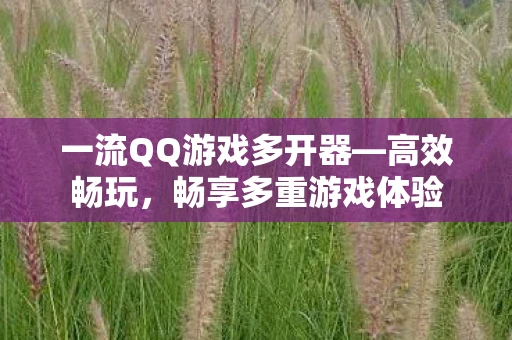 一流QQ游戏多开器—高效畅玩，畅享多重游戏体验
