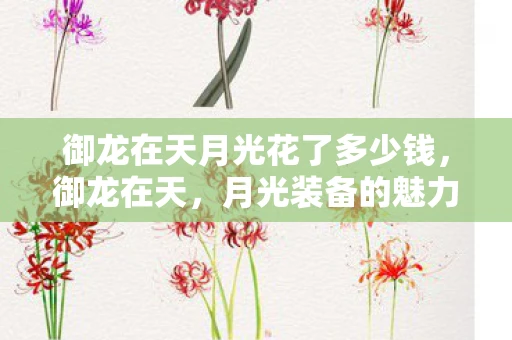 御龙在天月光花了多少钱，御龙在天，月光装备的魅力与战略