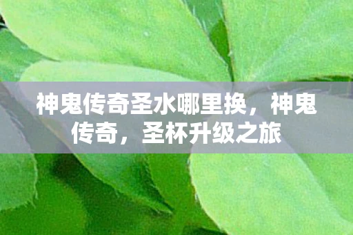 神鬼传奇圣水哪里换，神鬼传奇，圣杯升级之旅