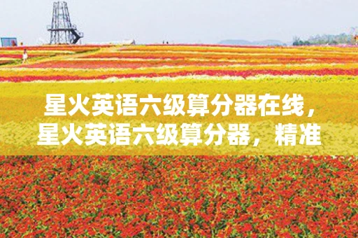 星火英语六级算分器在线，星火英语六级算分器，精准评估你的英语水平