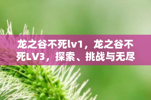 龙之谷不死lv1，龙之谷不死LV3，探索、挑战与无尽的冒险之旅