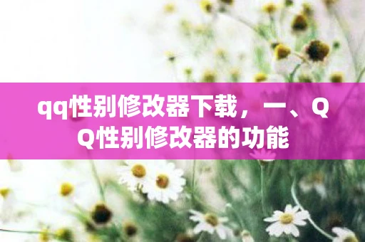 qq性别修改器下载，一、QQ性别修改器的功能