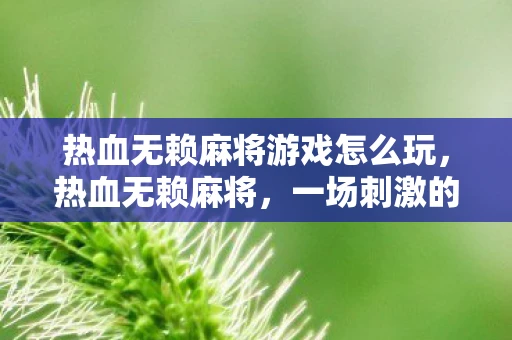 热血无赖麻将游戏怎么玩，热血无赖麻将，一场刺激的智力对决