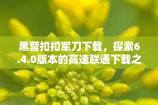 0版本的高速联通下载之旅图片