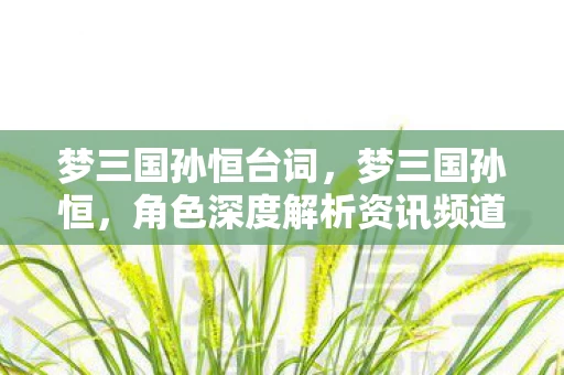 梦三国孙恒台词，梦三国孙恒，角色深度解析资讯频道