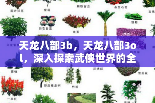 天龙八部3b，天龙八部3ol，深入探索武侠世界的全新篇章