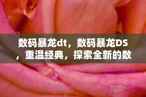 数码暴龙dt，数码暴龙DS，重温经典，探索全新的数码世界