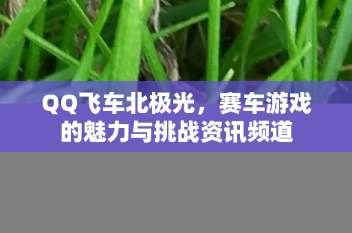 赛车游戏的魅力与挑战资讯频道图片