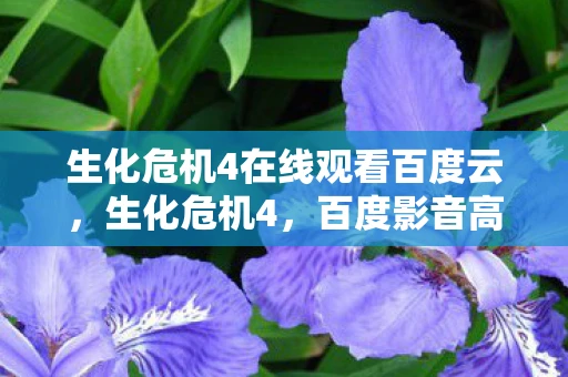 生化危机4在线观看百度云，生化危机4，百度影音高清版—深度解析与体验心得