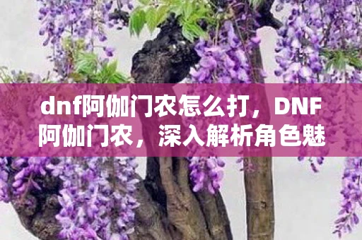 dnf阿伽门农怎么打，DNF阿伽门农，深入解析角色魅力与游戏玩法