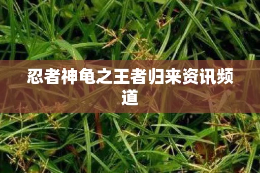 忍者神龟之王者归来资讯频道图片
