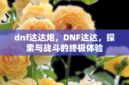 dnf达达炮，DNF达达，探索与战斗的终极体验