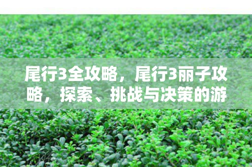 尾行3全攻略，尾行3丽子攻略，探索、挑战与决策的游戏体验