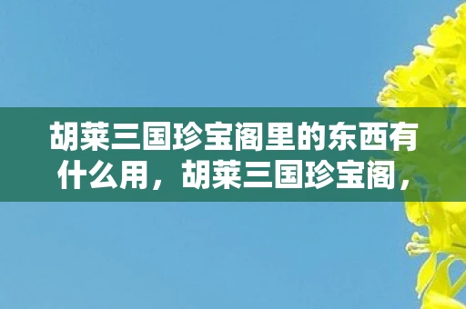 胡莱三国珍宝阁里的东西有什么用，胡莱三国珍宝阁，揭示其神秘功能与独特魅力