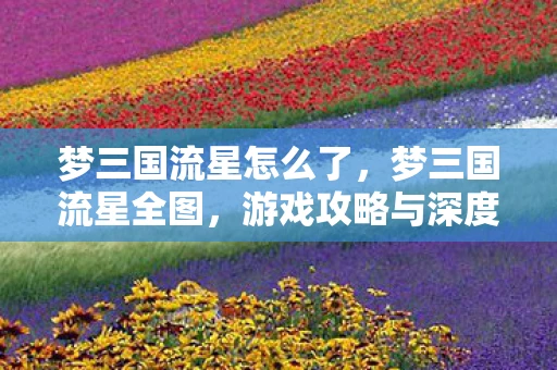 梦三国流星怎么了，梦三国流星全图，游戏攻略与深度解析