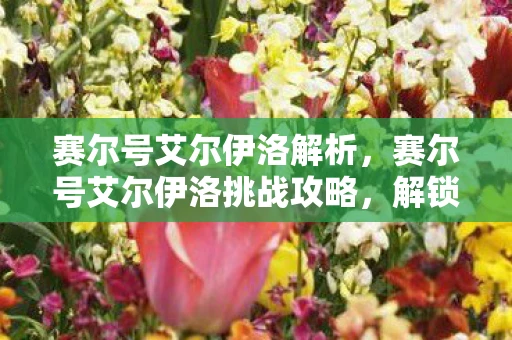 赛尔号艾尔伊洛解析，赛尔号艾尔伊洛挑战攻略，解锁强力BOSS的制胜之道