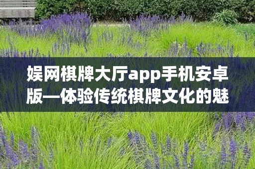 娱网棋牌大厅app手机安卓版—体验传统棋牌文化的魅力