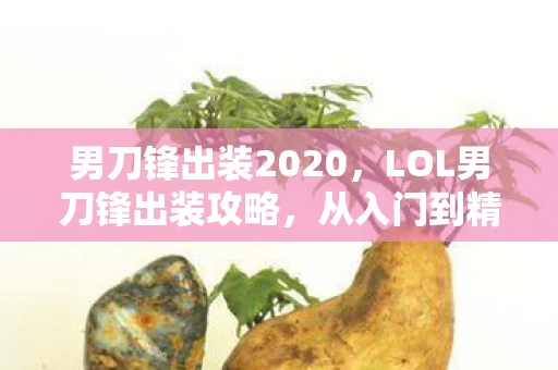男刀锋出装2020，LOL男刀锋出装攻略，从入门到精通