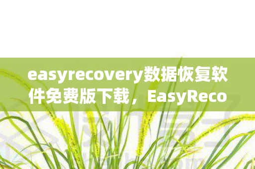 easyrecovery数据恢复软件免费版下载，EasyRecovery Pro 6.0中文版，数据恢复的终极解决方案