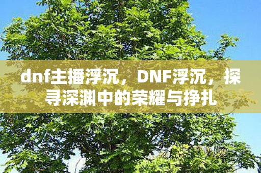 dnf主播浮沉，DNF浮沉，探寻深渊中的荣耀与挣扎