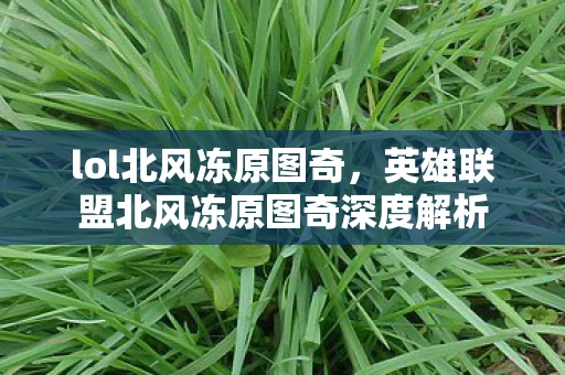 lol北风冻原图奇，英雄联盟北风冻原图奇深度解析