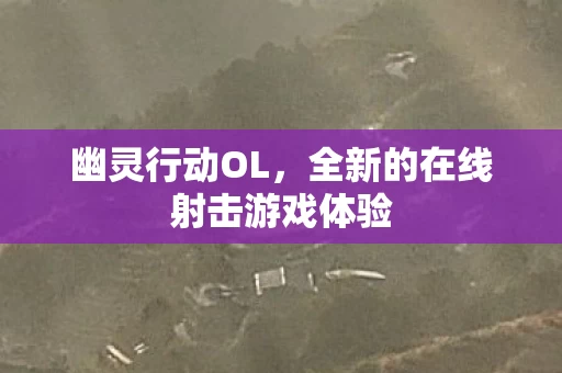 全新的在线射击游戏体验图片