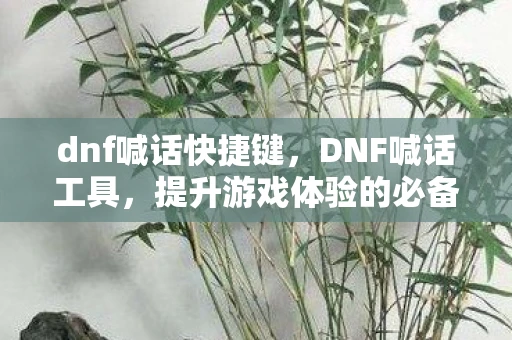 dnf喊话快捷键，DNF喊话工具，提升游戏体验的必备利器