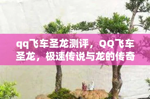 qq飞车圣龙测评，QQ飞车圣龙，极速传说与龙的传奇