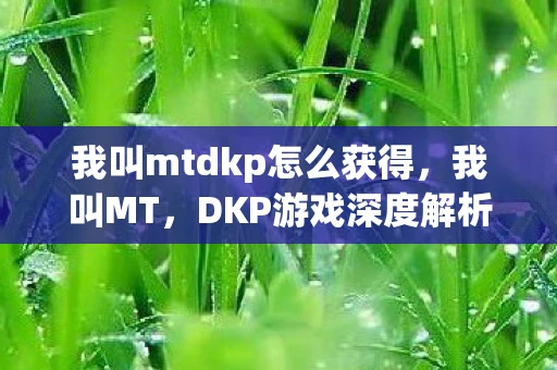 我叫mtdkp怎么获得，我叫MT，DKP游戏深度解析