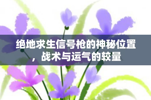 绝地求生信号枪的神秘位置图片
