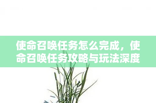 使命召唤任务怎么完成，使命召唤任务攻略与玩法深度解析