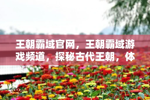 王朝霸域官网，王朝霸域游戏频道，探秘古代王朝，体验策略战争的魅力