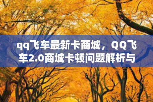 qq飞车最新卡商城，QQ飞车2.0商城卡顿问题解析与游戏优化建议